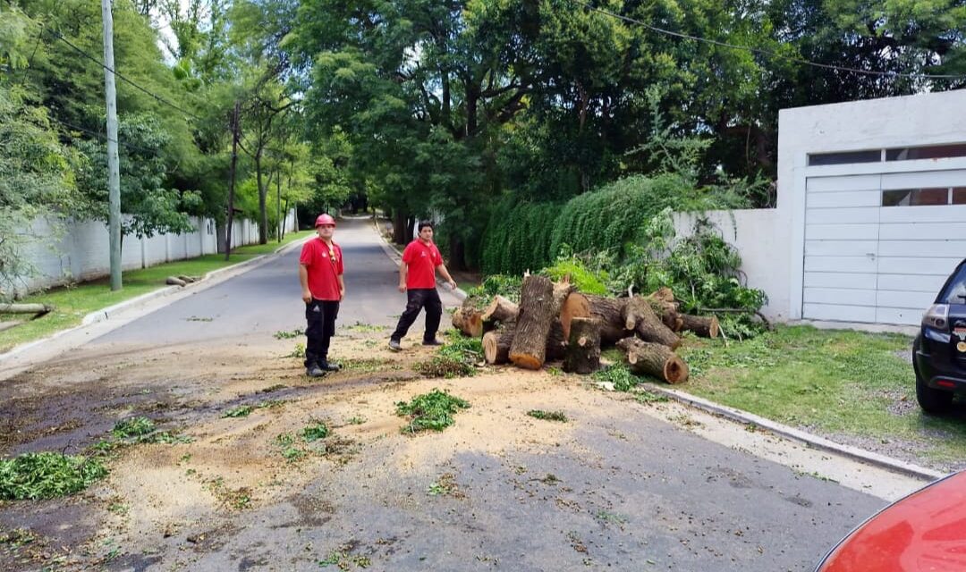 Más de 900 intervenciones tras el temporal del fin de semana