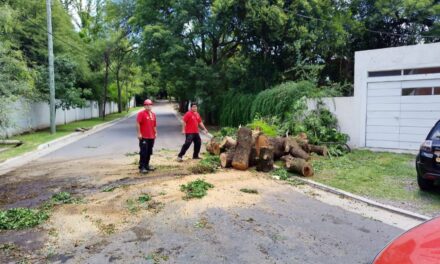 Más de 900 intervenciones tras el temporal del fin de semana