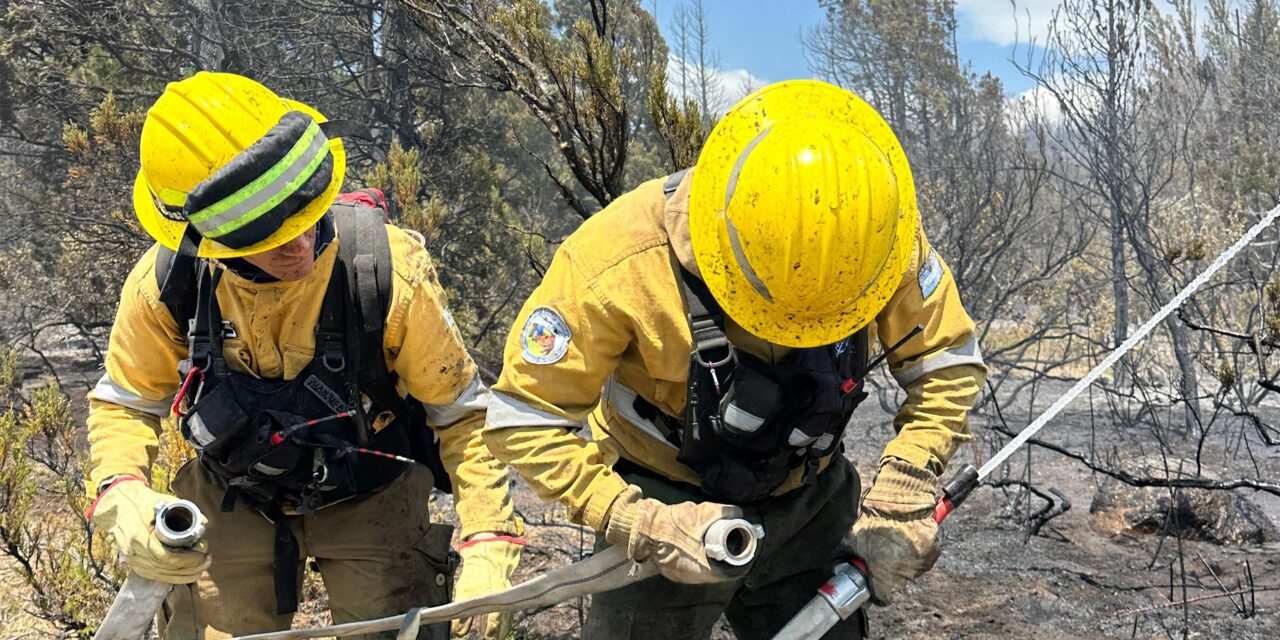 Apoyo cordobés para contener incendios en El Maiten