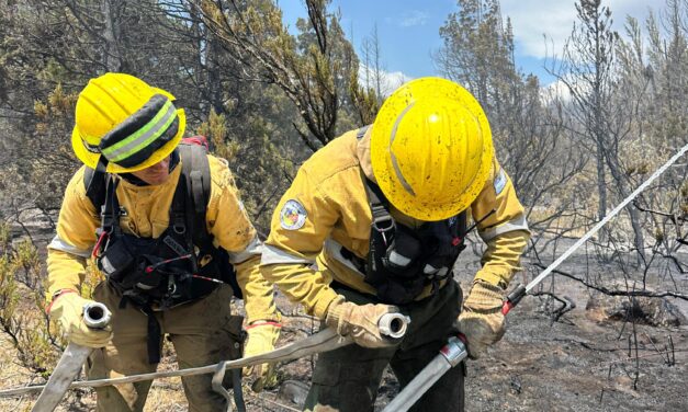 Apoyo cordobés para contener incendios en El Maiten