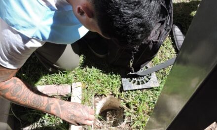 Dengue: avanzan los operativos casa por casa