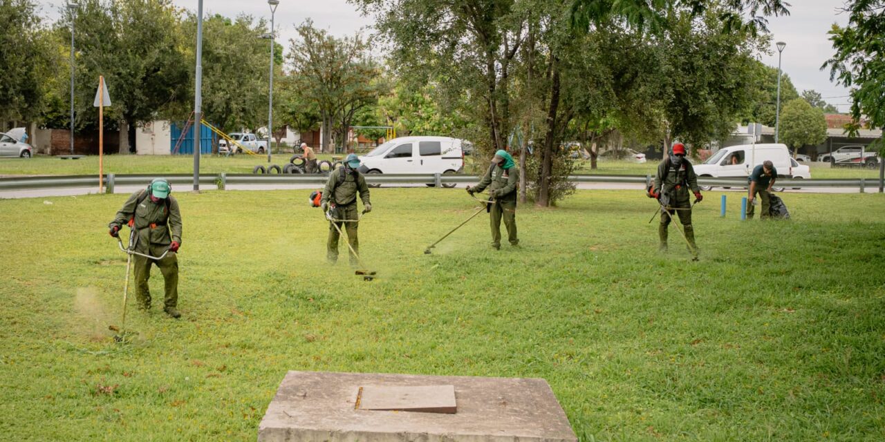 El municipio desmalezó más de 1.400 espacios verdes