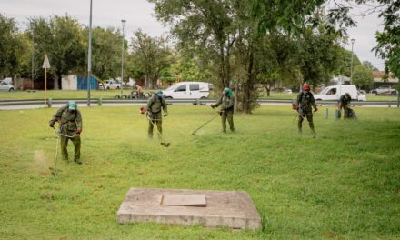 El municipio desmalezó más de 1.400 espacios verdes