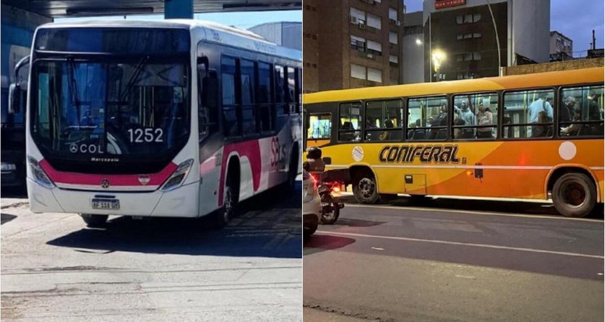 Las líneas A1, B1, C1 y C2 pasan a SiBus y Coniferal