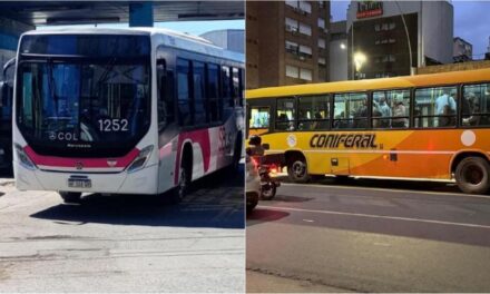 Las líneas A1, B1, C1 y C2 pasan a SiBus y Coniferal