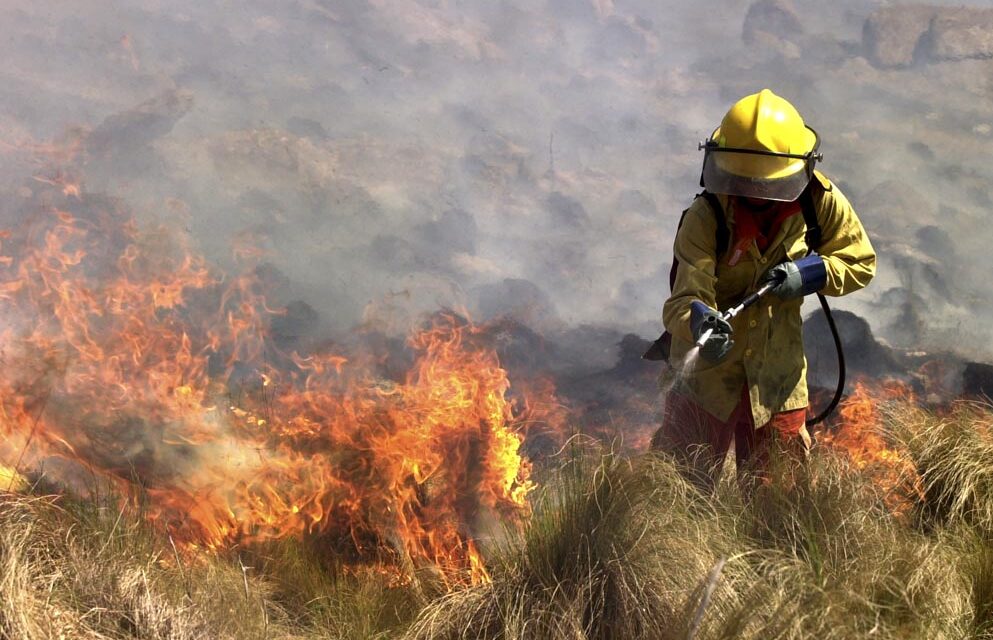 Proponen usar IA para prevenir incendios en Córdoba
