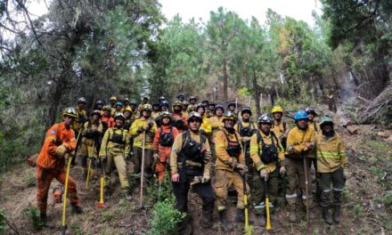Más de 150 bomberos cordobeses combatieron el fuego en Chubut