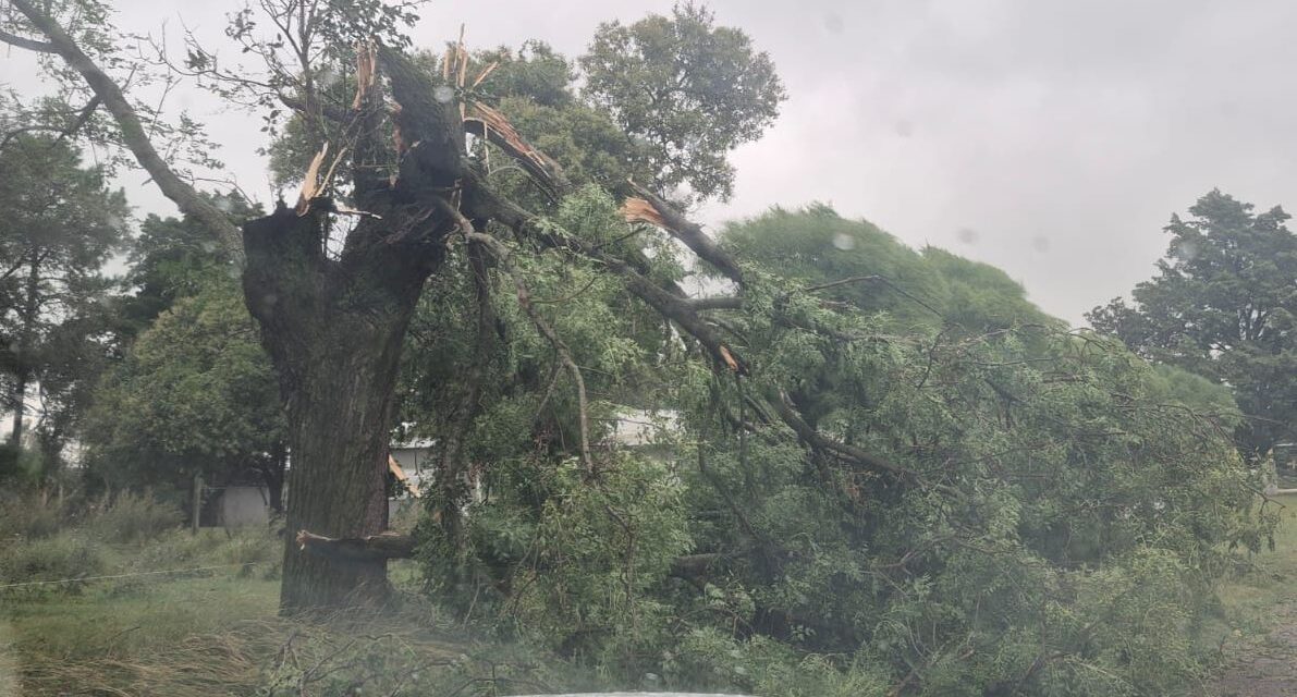 Envían ayuda a siete localidades tras fuertes tormentas