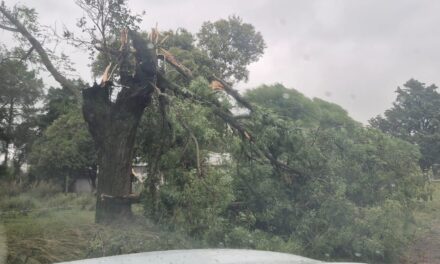 Envían ayuda a siete localidades tras fuertes tormentas