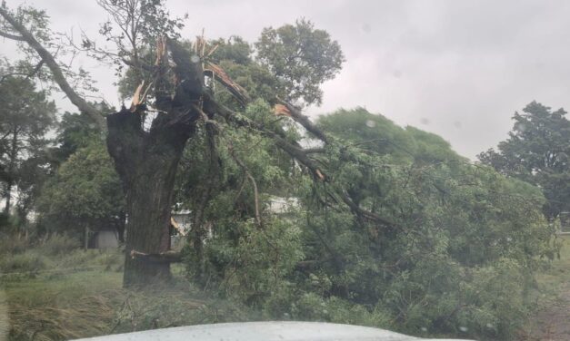 Envían ayuda a siete localidades tras fuertes tormentas