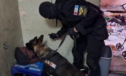 Dos hermanas detenidas por venta de cocaína en Villa La Telita