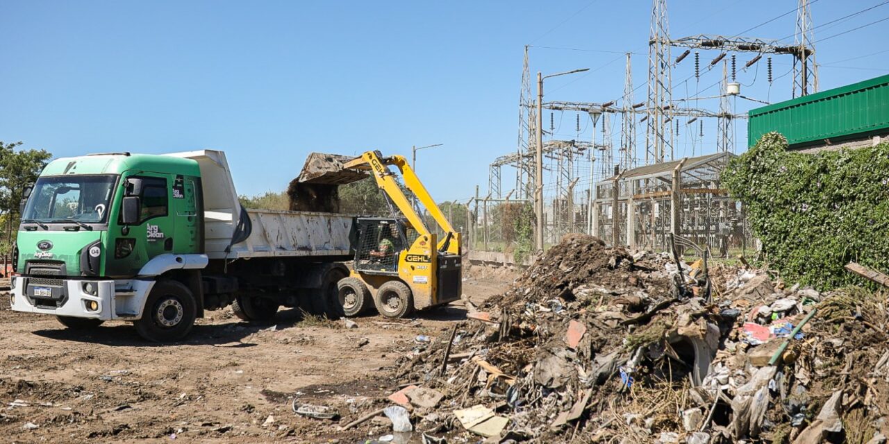 Erradicaron el macrobasural de Toco Toco y Marambio