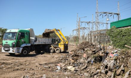 Erradicaron el macrobasural de Toco Toco y Marambio