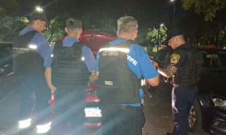 Recuperaron en Parque Sarmiento un auto robado