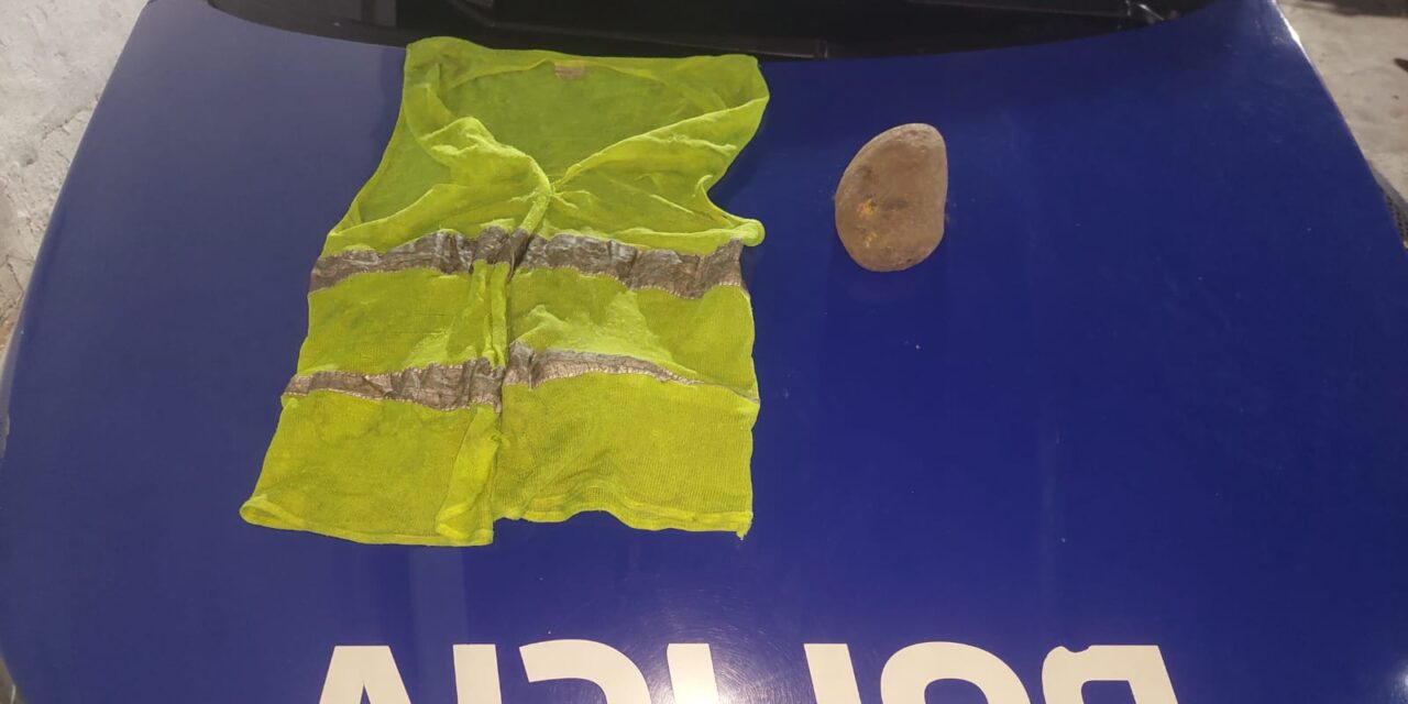 Detuvieron a una naranjita por dañar un taxi en General Paz