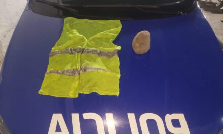 Detuvieron a una naranjita por dañar un taxi en General Paz