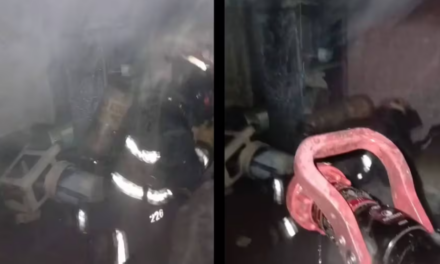 Héroes sin capa: salvaron a una mascota de un incendio