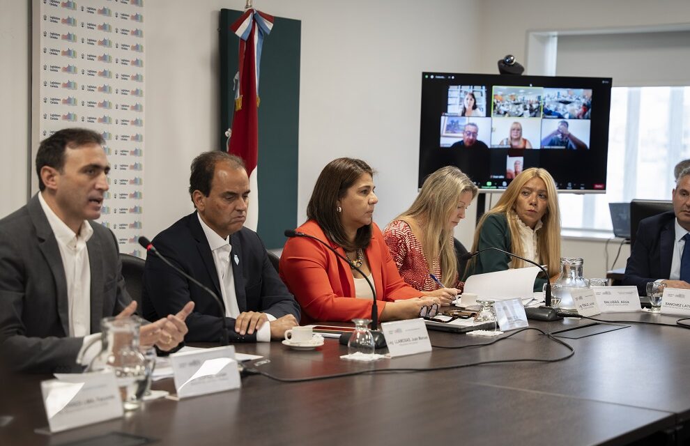 Comenzó el debate de la Ley Joaquin