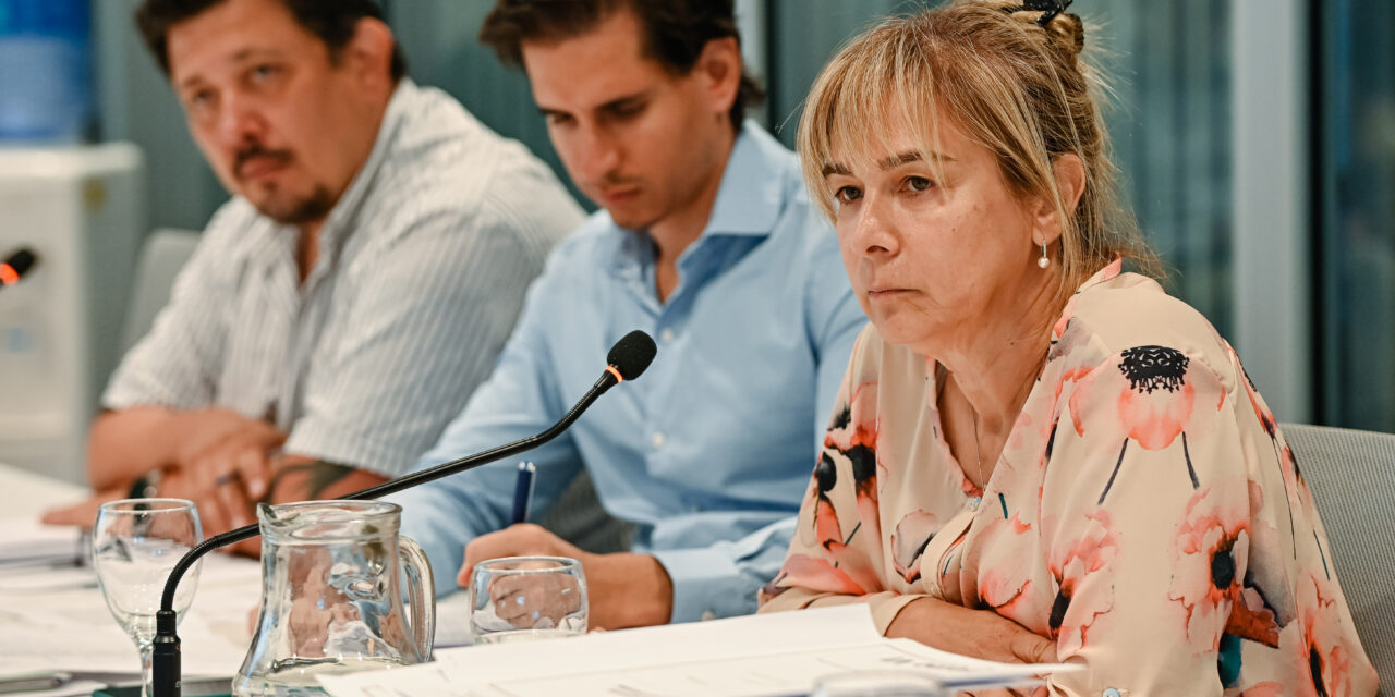 Con aval parcial, avanza la ejecución presupuestaria 2024