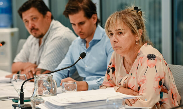 Con aval parcial, avanza la ejecución presupuestaria 2024