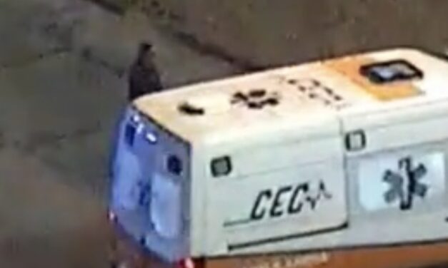 Cordón sanitario permitió trasladar en 10 minutos a un bebé al Hospital de Niños
