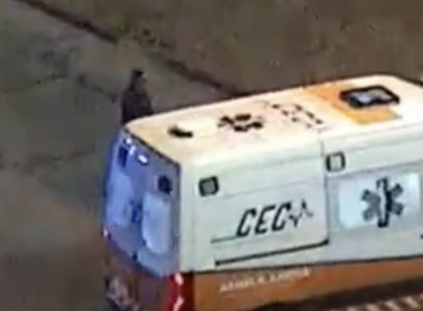 Cordón sanitario permitió trasladar en 10 minutos a un bebé al Hospital de Niños