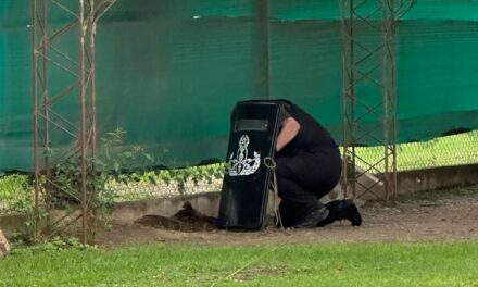Hallan proyectil de mortero abandonado en barrio Kairos