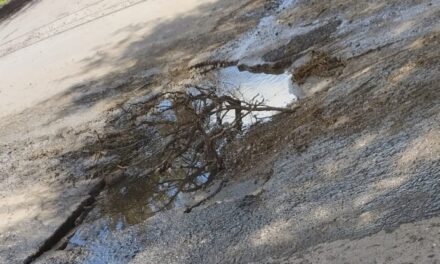 Vecinos de Residencial San Carlos señalan bache con ramas y reclaman reparación