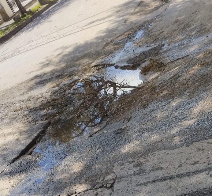 Vecinos de Residencial San Carlos señalan bache con ramas y reclaman reparación