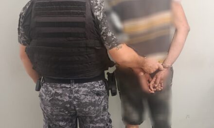 Quiso huir por los techos, cayó a un patio y lo atacó un pitbull