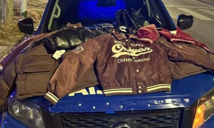 Cayó tras romper locales en Villa Centenario