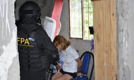 Megaoperativo narco: 20 detenidos y millonario secuestro