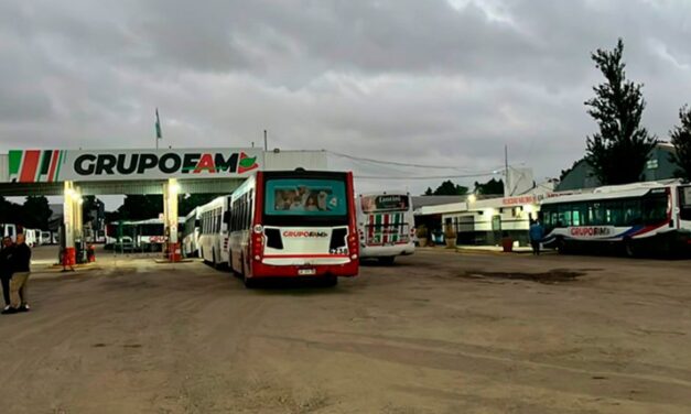 Passerini revocó el contrato con la empresa FAM