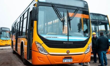 Cambian de empresa las líneas 21 y 25 en Córdoba