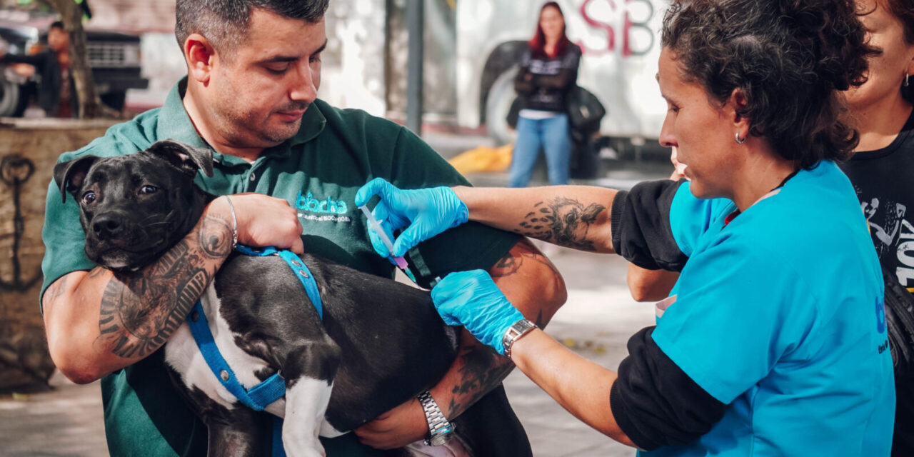 Vacunación antirrábica gratuita por el Día del Animal