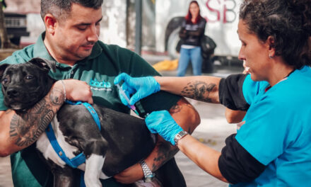 Vacunación antirrábica gratuita por el Día del Animal