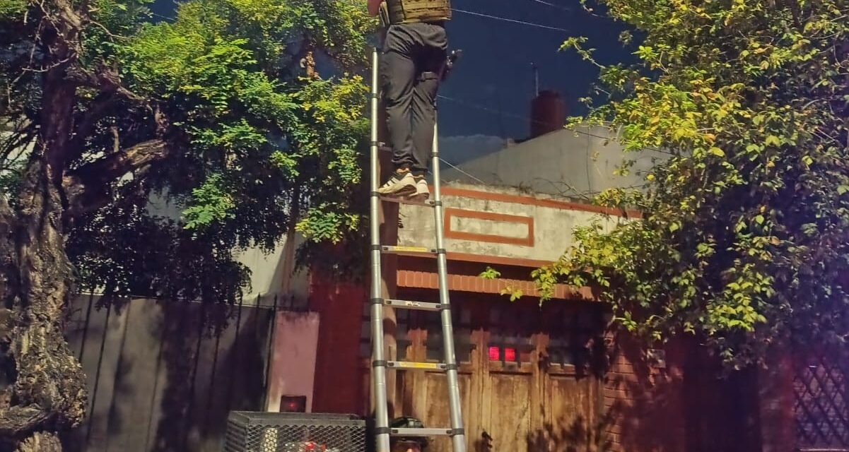 Vendía droga y vigilaba barrio con cámaras