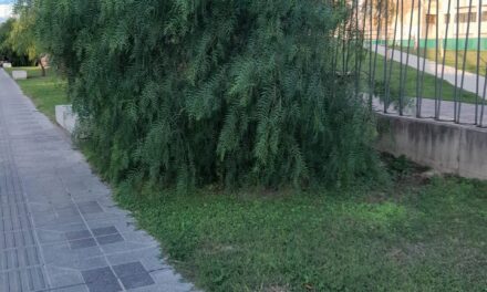 Vecinos piden mejoras en el mantenimiento del Paseo San Martín