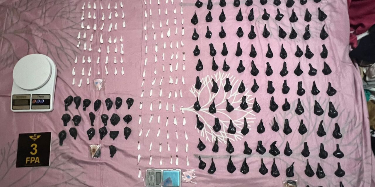 Golpe al narcomenudeo: seis detenidos y más de mil dosis secuestradas