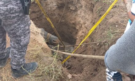 Rescataron a un caballo que cayó en un pozo en barrio Los Filtros
