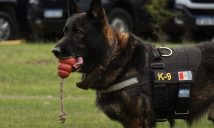 Se retira Buster, el perro antinarcóticos que marcó una era