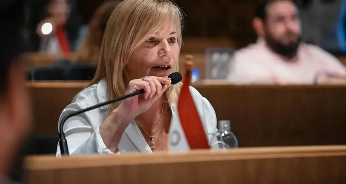 Presentan en el Concejo un proyecto para eliminar la Guardia Urbana