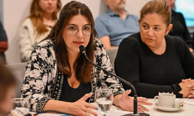Rovetto Yapur cargó contra el proyecto de los “naranjitas”