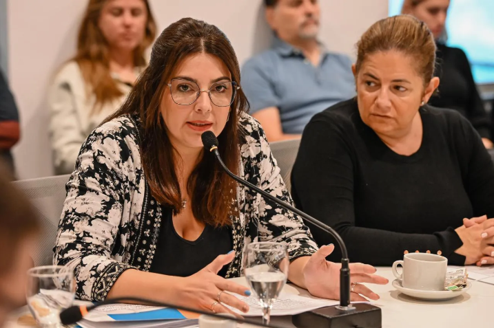 Rovetto Yapur cargó contra el proyecto de los “naranjitas”