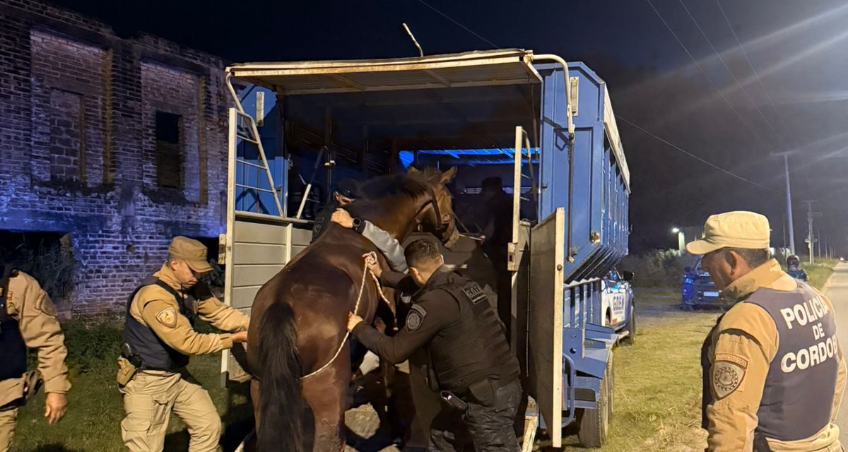 Cazaban carpinchos: tres detenidos y animales rescatados