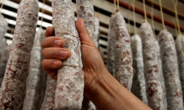 Detectan un brote de triquinosis en Salsipuedes