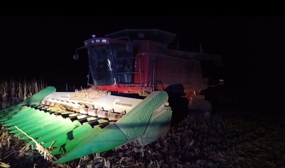 Murió un trabajador rural durante una cosecha en Alto Alegre