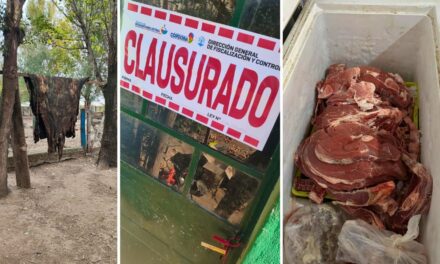 Clausuraron faenaderos clandestinos en Hernando