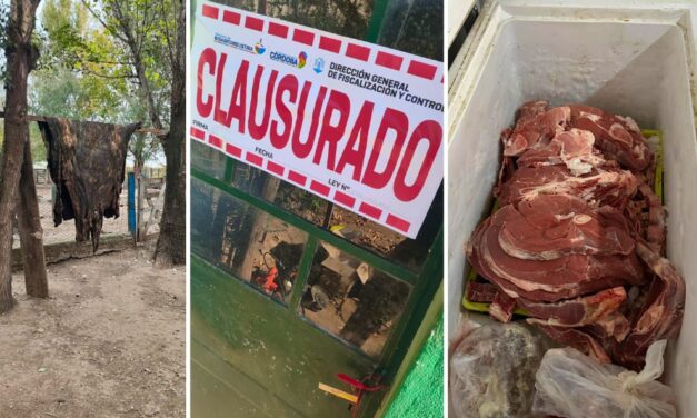 Clausuraron faenaderos clandestinos en Hernando