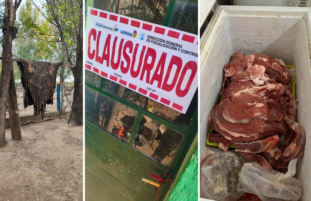 Clausuraron faenaderos clandestinos en Hernando